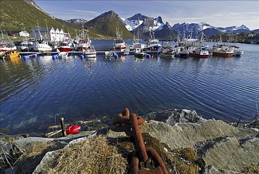 渔船,码头,罗弗敦群岛,挪威,斯堪的纳维亚,欧洲