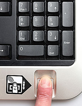 电脑键盘,指纹,阅读者,只有,罐,操作,电脑,批准,使用者