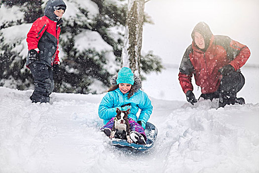 父亲,儿子,女儿,滑雪橇,波士顿犬,小狗,积雪,山,微笑