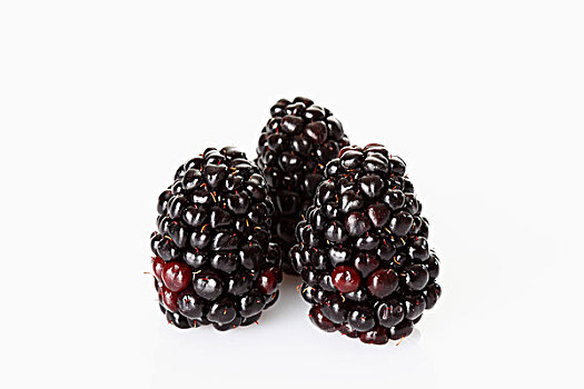三个,黑莓,悬钩子属植物