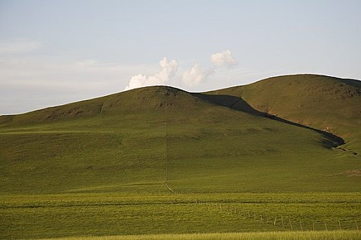 山坡,草地,内蒙古,中国