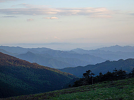 山景