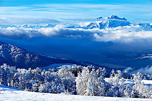 山,皮拉图斯,冬天,风景,湖,前景,瑞士,欧洲