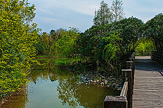 上海宝山炮台湾湿地公园风光