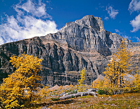 加拿大,艾伯塔省,班芙国家公园,高山,落叶松属植物,展示,秋色,下方,顶峰,山谷,大幅,尺寸
