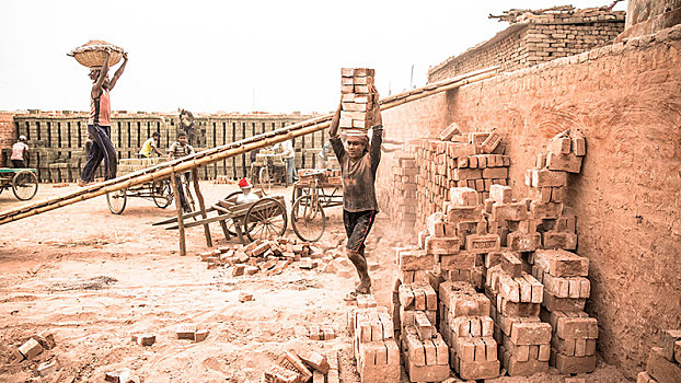 工人,砖,头部,砖厂,达卡,孟加拉,亚洲