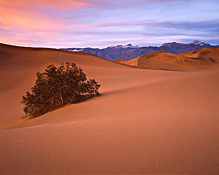 美国,加利福尼亚,死亡谷国家公园,沙丘,大幅,尺寸