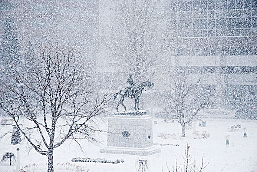 广场,纪念建筑,暴风雪,卡尔加里,艾伯塔省,加拿大