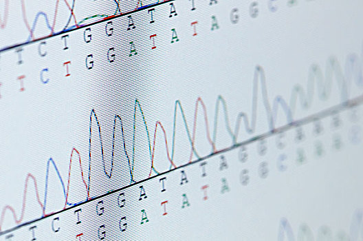 自动化,基因,展示,电脑显示器