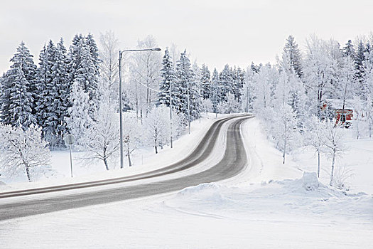 轮胎印,雪,乡村道路