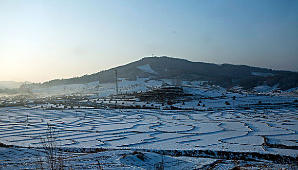 雪野,北方,東北,大雪,原野,土地,冬季,潔白,干凈,風景,村莊,農村