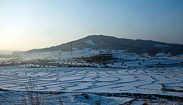 雪野,北方,东北,大雪,原野,土地,冬季,洁白,干净,风景,村庄,农村