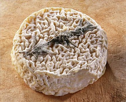 普罗旺斯,法国,山羊乳酪,褐色背景