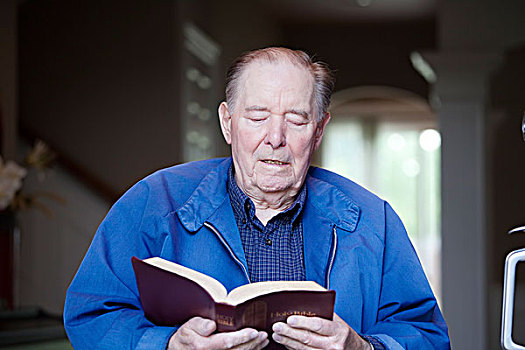 老人,读,圣经