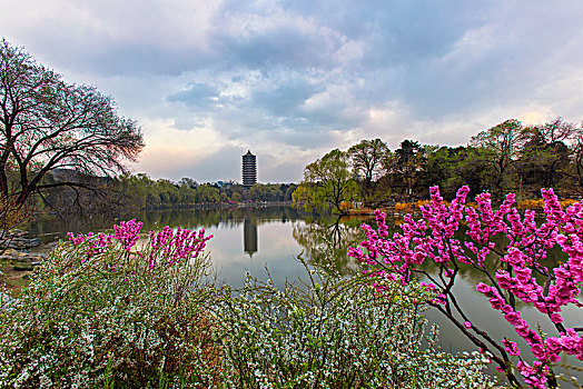 北京大学