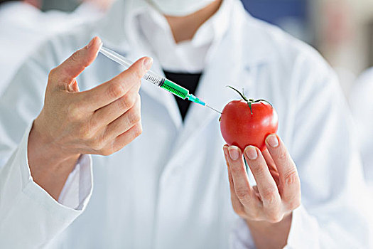 科学家,注射,西红柿,绿色,液体,实验室