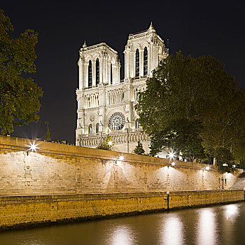 圣母大教堂,塞纳河,夜晚,巴黎,法国