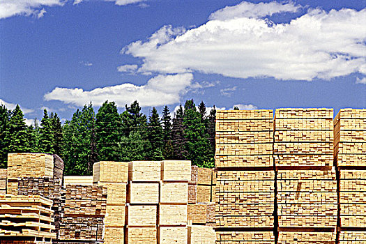 切削,木材,建筑材料,一堆,魁北克,加拿大