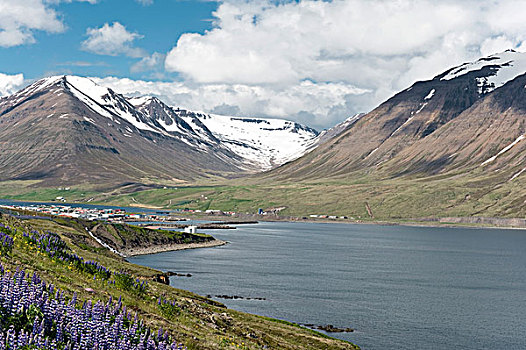 风景,乡村,冰岛