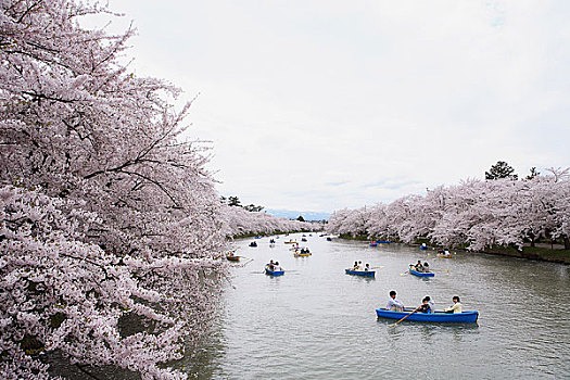 泛舟,弘前城,护城河