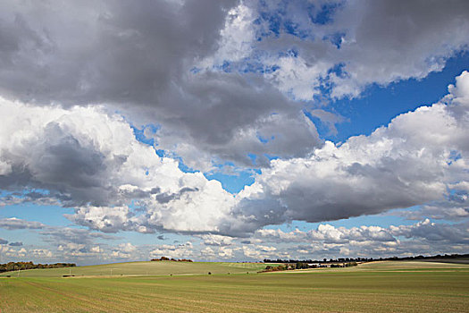 宽阔,绿色,地点,蓝天,云,赫特福郡,英格兰