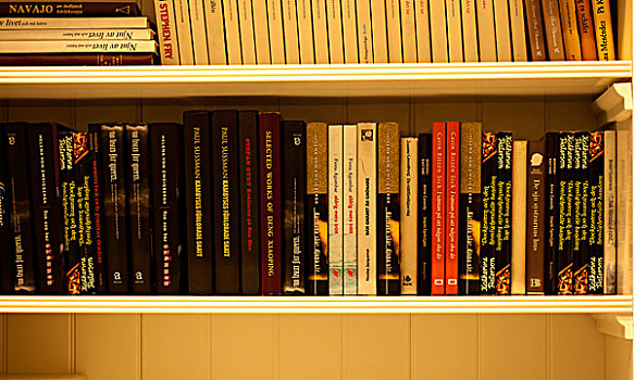 书架上整齐排列的书