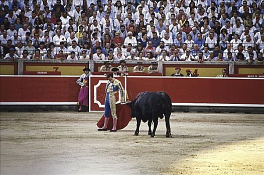 斗牛,潘普洛纳,西班牙