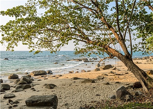 石头,海滩,木质,晃动,泰国