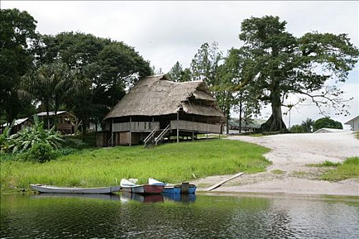 房子,部落,河,雨林,南美