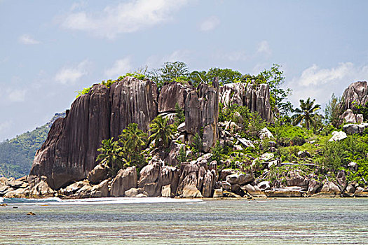 花冈岩,椰树,岛屿,塞舌尔,非洲,印度洋