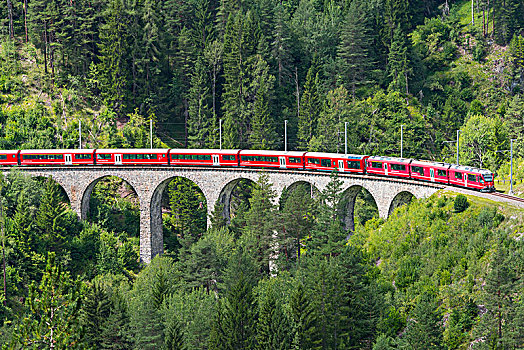 铁路,高架桥,靠近,区域,瑞士