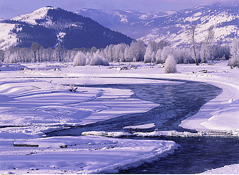 河,风景,山峦,冬天,杰克森洞山谷,怀俄明,美国