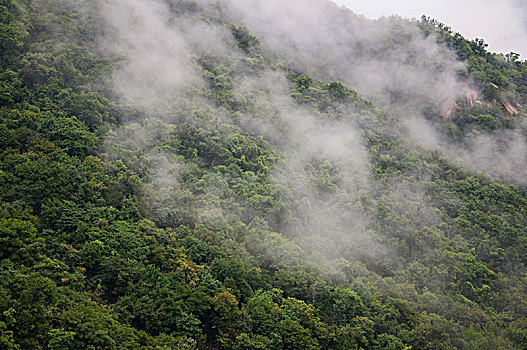 雾气弥漫的山峰