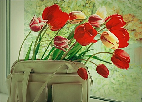 花,郁金香,女人,包,窗,窗台