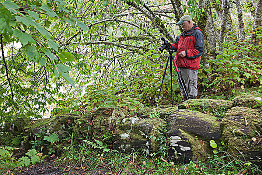 男人,摄影,树林,不列颠哥伦比亚省,加拿大