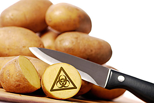 土豆,刀,警告,标识,生化危害,象征,图像,基因