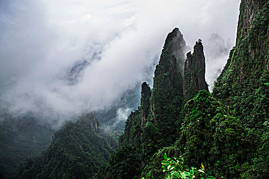 湖南郴州莽山