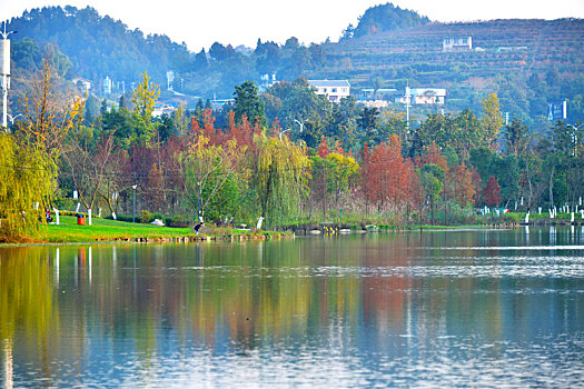 贵州省遵义市新蒲湿地公园秋天风景
