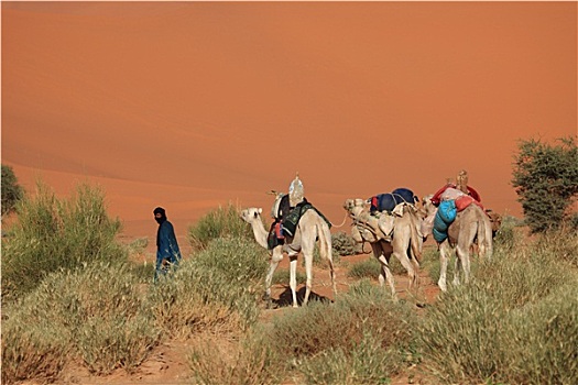 柏柏尔人,撒哈拉沙漠