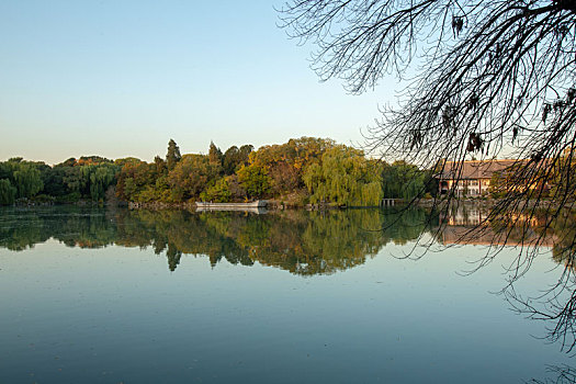 北京大学秋天的景色