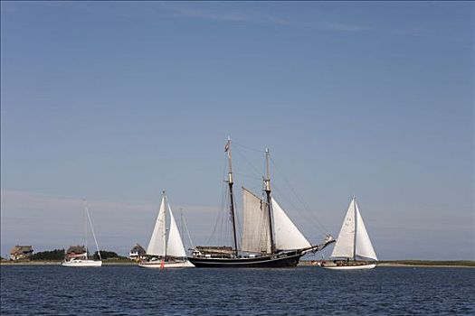 传统,帆船,正面,波罗的海,石荷州,北德,欧洲