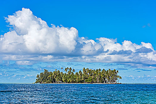 小,空,岛屿,棕榈树,赖阿特阿岛,法属玻利尼西亚,南太平洋,大洋洲