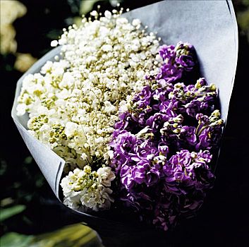 花,花束,紫花,特写