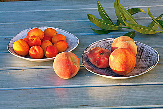 餐具,杏子,桃