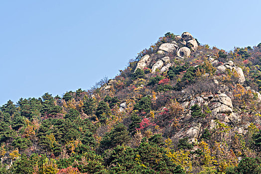 蓝天下山石与树林