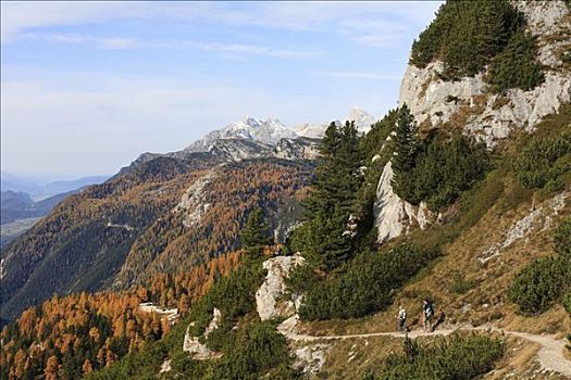 徒步旅行,山,靠近,背影,施蒂里亚,奥地利,欧洲
