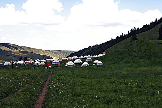 新疆乌鲁木齐南山牧场西白杨沟