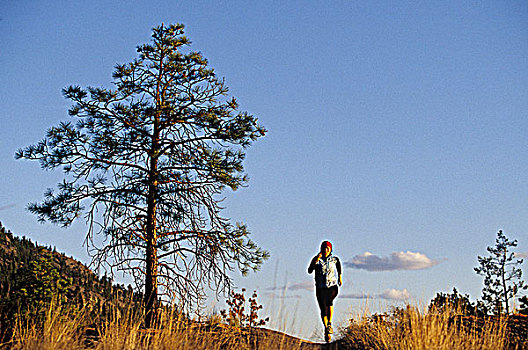 女青年,越野跑,山,潘提顿,不列颠哥伦比亚省,加拿大