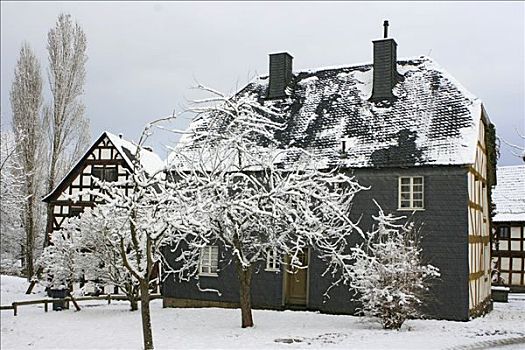 积雪,木制,房子,乡村,黑森公园,黑森州,德国