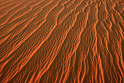 沙子,波纹,纹理,沙丘,撒哈拉沙漠,阿尔及利亚,非洲
